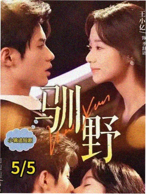 无声证词剧集海报